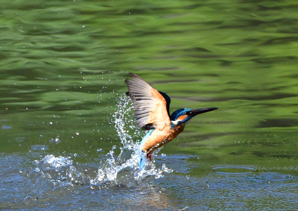 水飛沫　５/１４➓