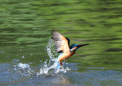 水飛沫　５/１４➓