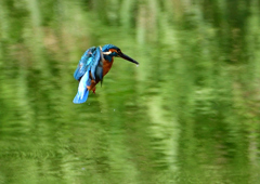 いつもの公園で　９/２６❼