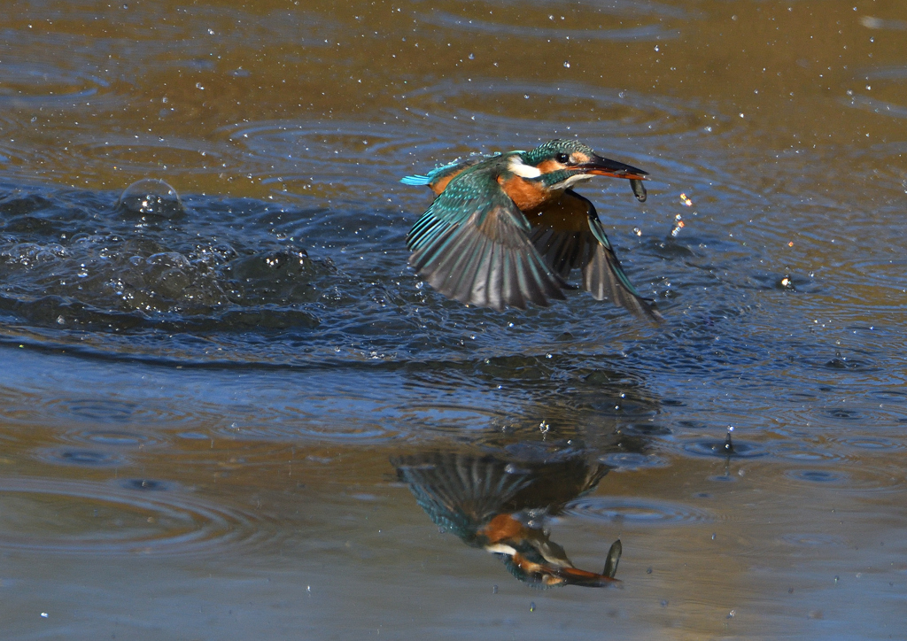 離水から　１１/５　❸