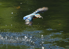 水飛沫　９/２４❸