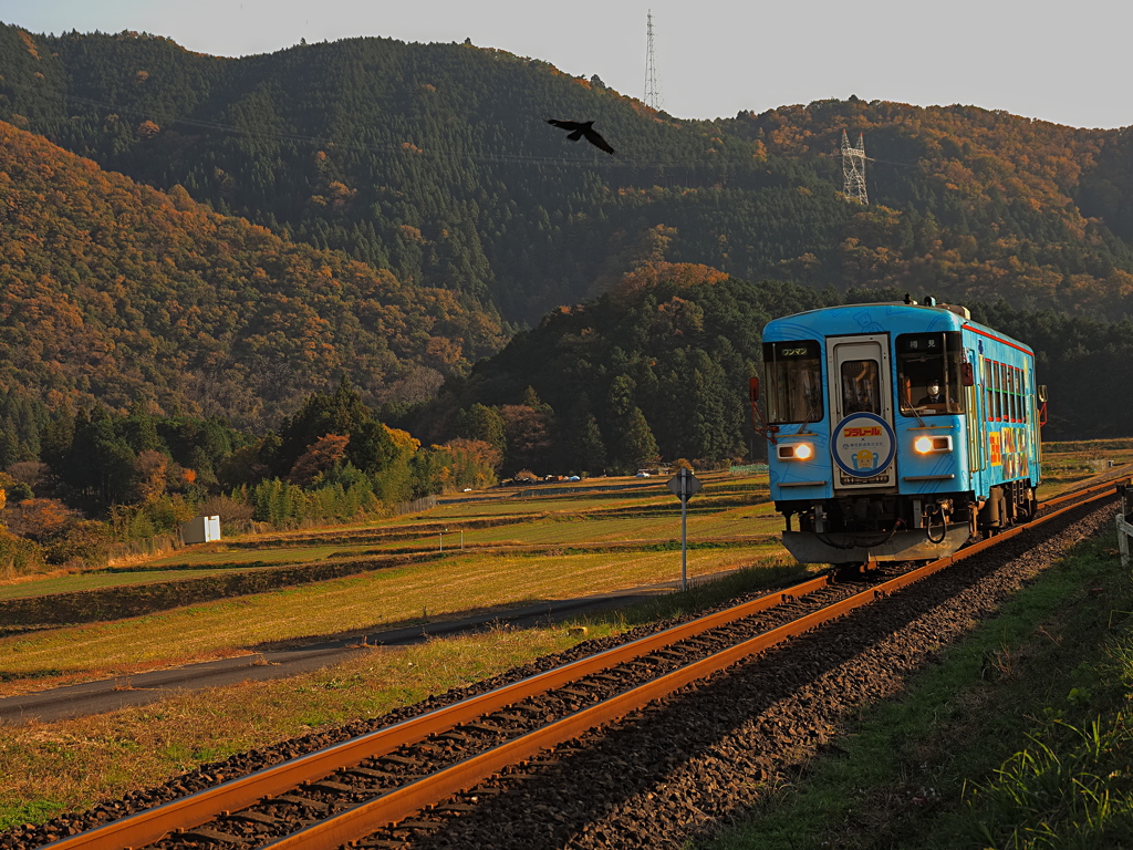 ラッピング車両　１１/２０