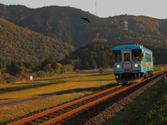 ラッピング車両　１１/２０