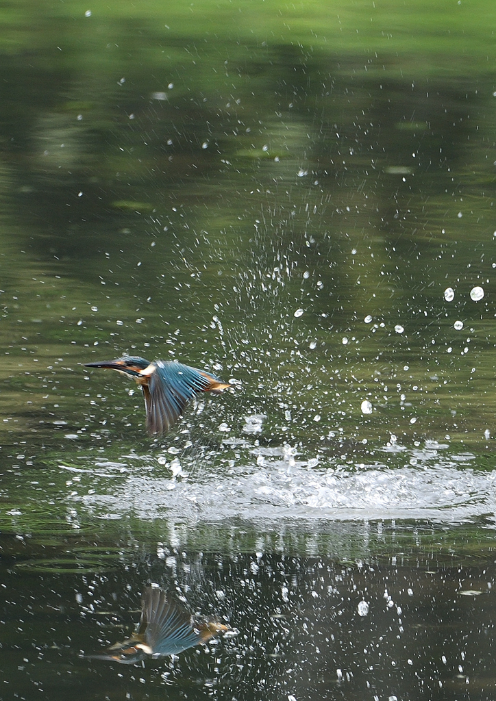水飛沫　８/２９❹