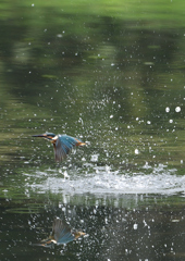 水飛沫　８/２９❹