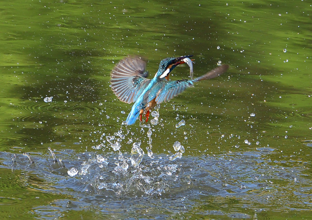 水飛沫　５/１❸