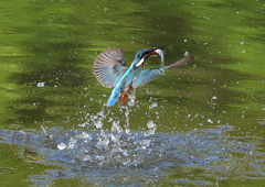 水飛沫　５/１❸