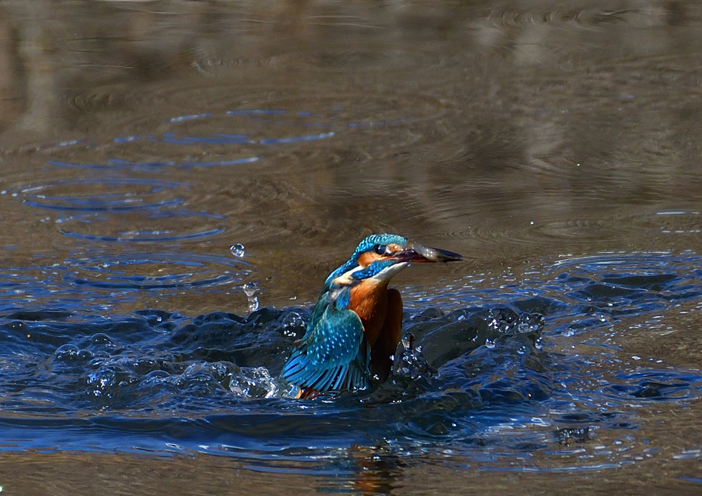いつもの公園で　１/２５❸