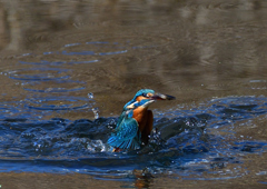 いつもの公園で　１/２５❸