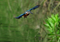 いつもの公園で　８/１６⓮