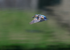 イザ・・・・　８/１９