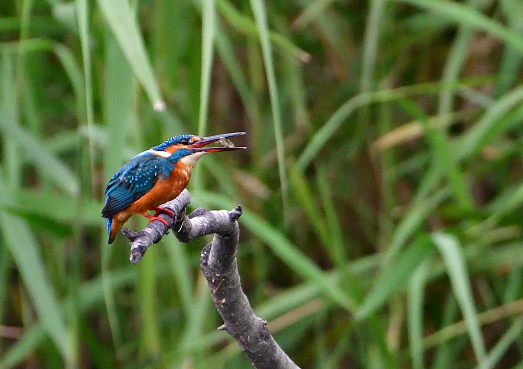 いつもの公園で　９/１７❸