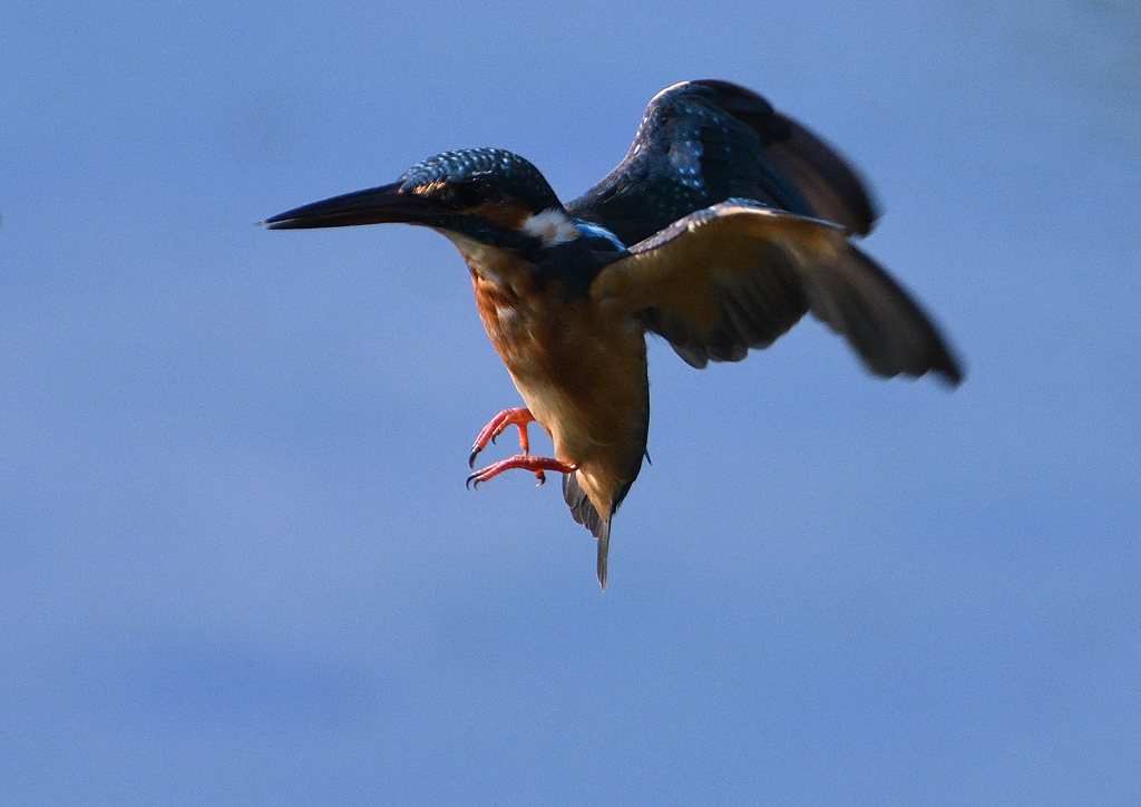 緩急自在　９/３❺