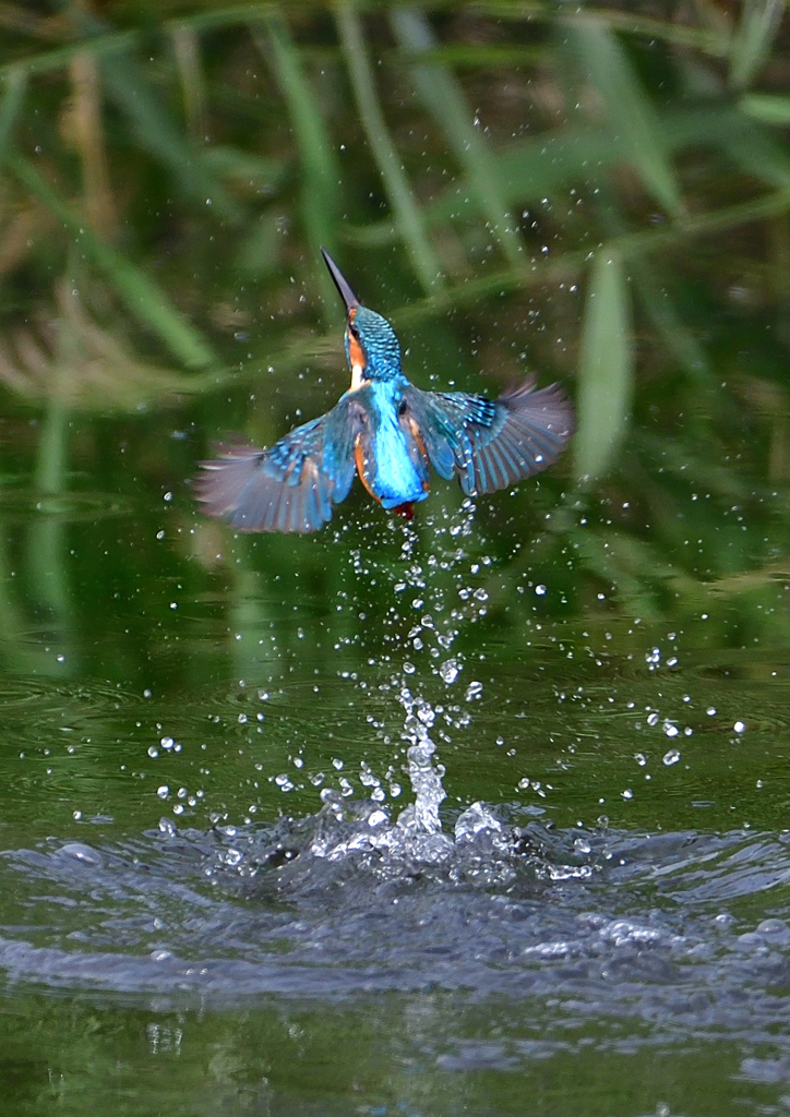 いつもの公園で　９/２４❻