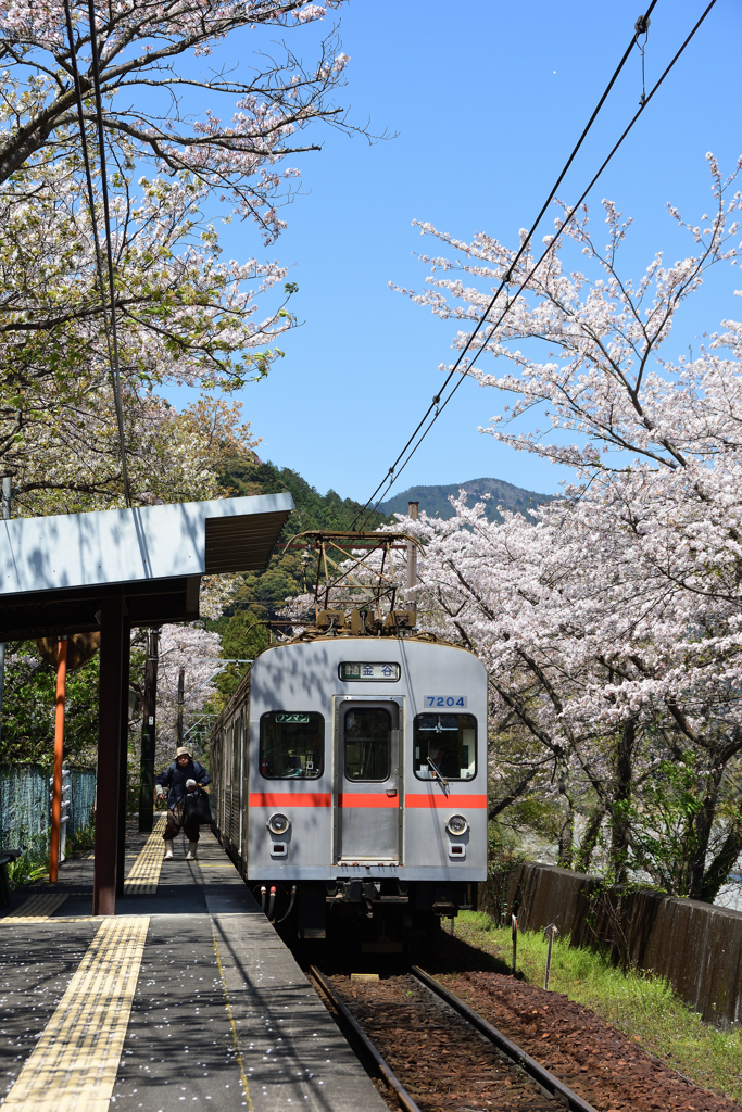 大井川鉄道　４/６❷