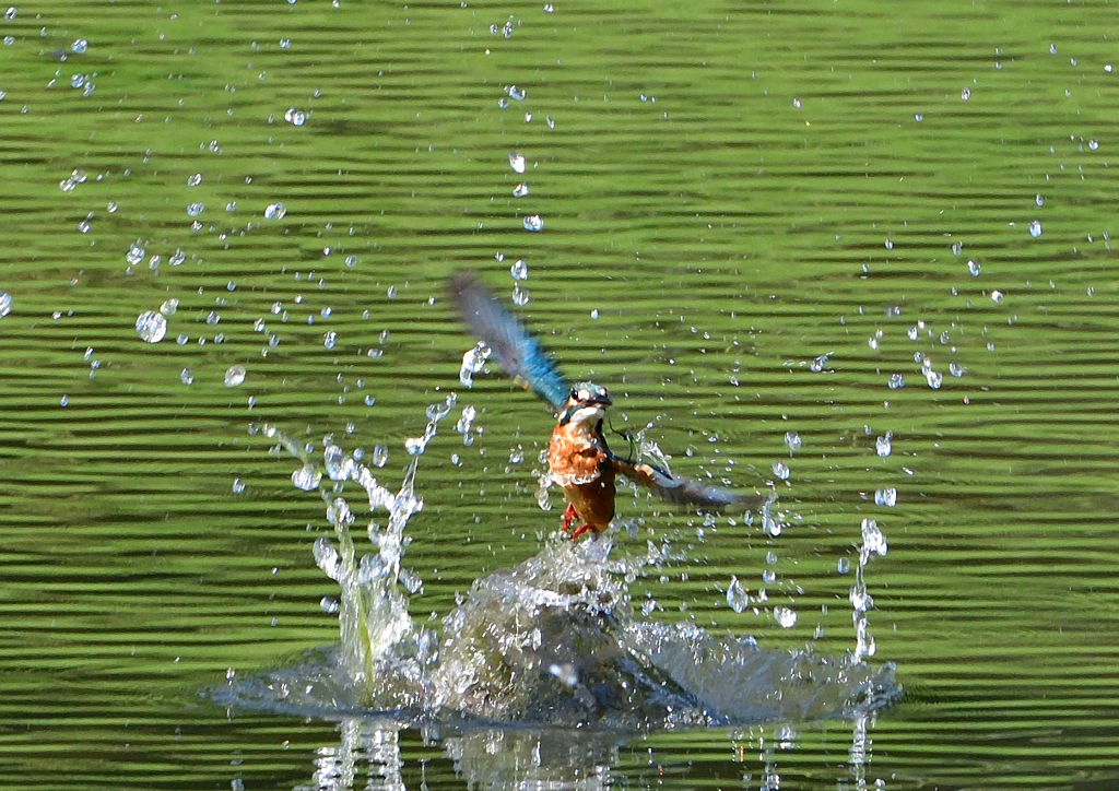 水飛沫　８/１❺