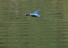 テイクアウト　５/１５