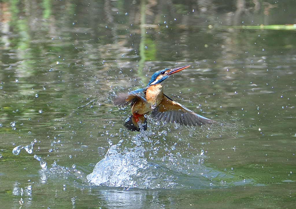 水飛沫　５/１７❸