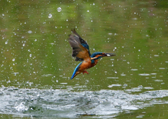 いつもの公園で　９/１７❺