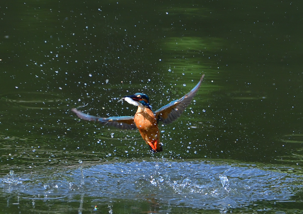 ダイブ　５/２２❹