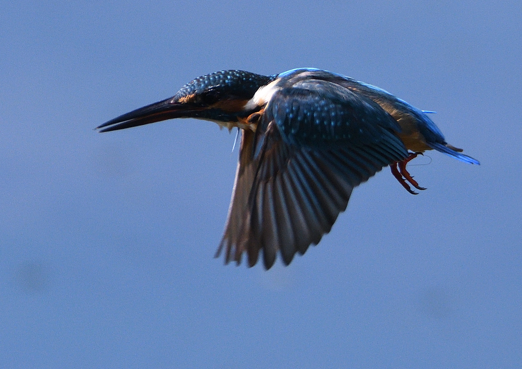 緩急自在　９/３❽