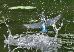 水飛沫　７/２０①