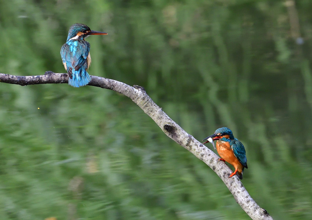 オスとメス　５/１７❸