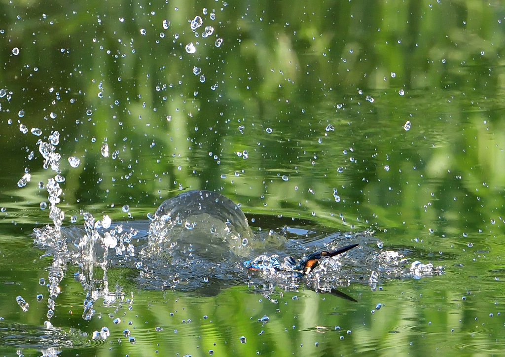 水飛沫　８/１❹