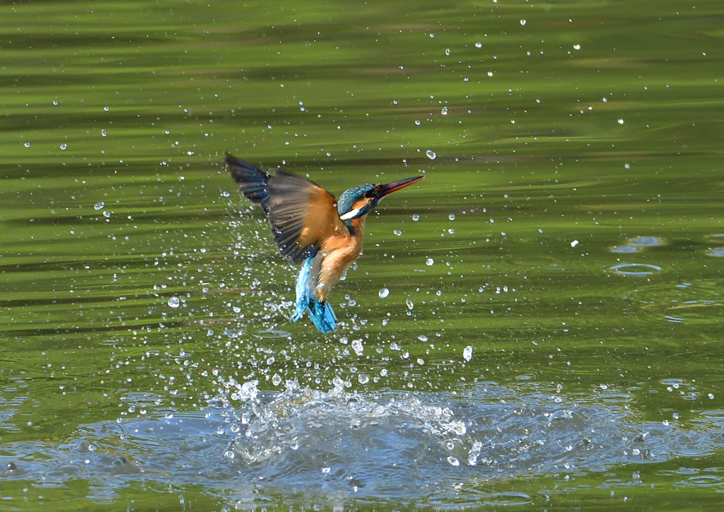 水飛沫　４/２９❶