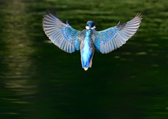 いつもの公園で　８/１４➓