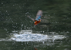 あれ～・・・・❶