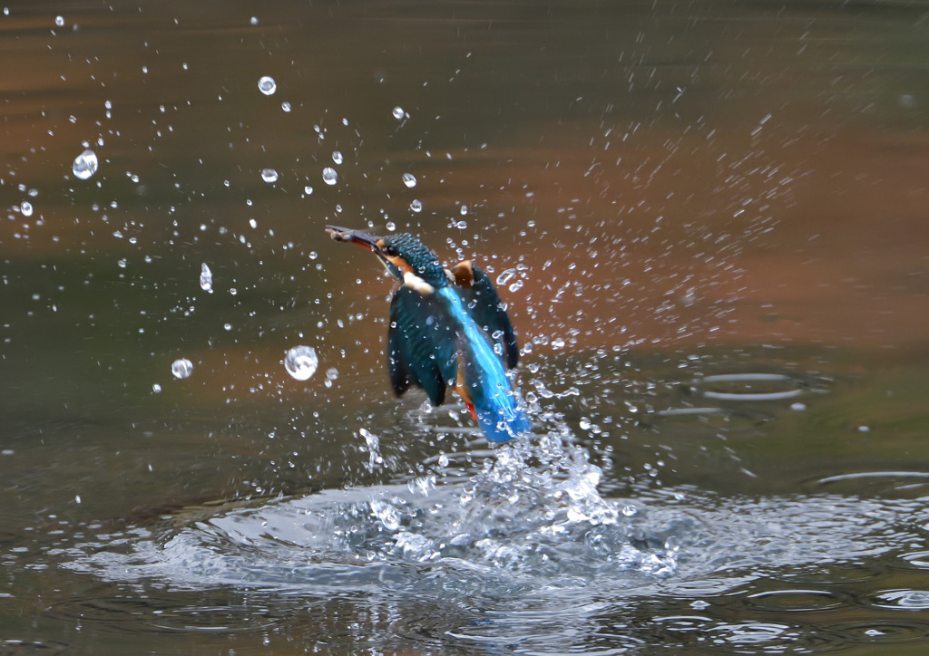 水飛沫　１２/９❶