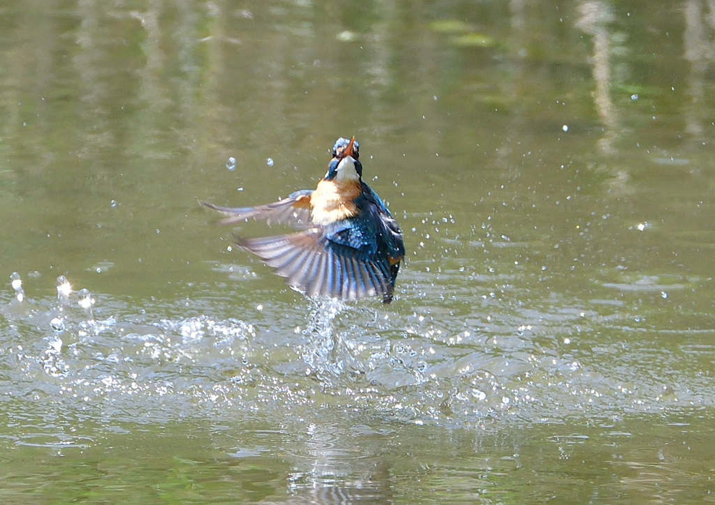 水飛沫　５/５❺