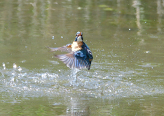 水飛沫　５/５❺