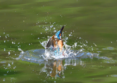 浮上　５/１４❷