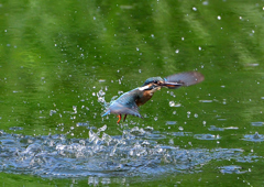 いつもの公園で　８/３０❽