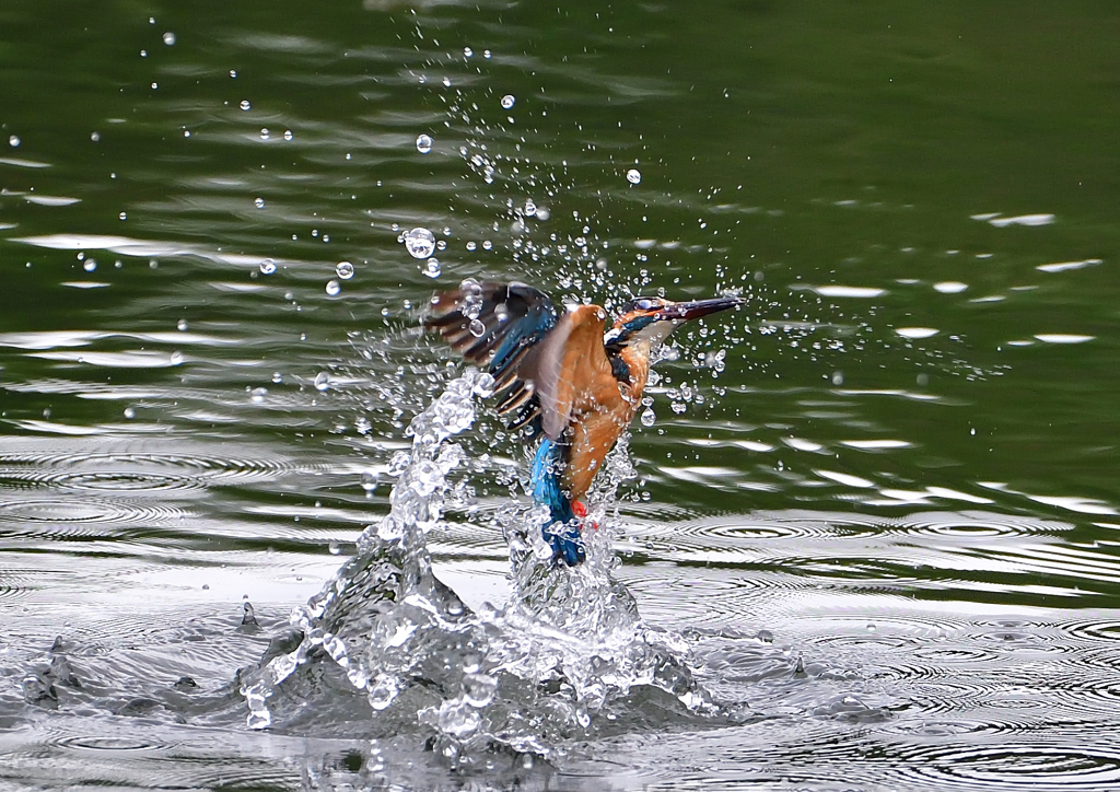 水飛沫　７/１５②