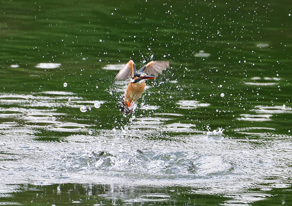 ダイブ　５/２３❼