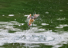 ダイブ　５/２３❼