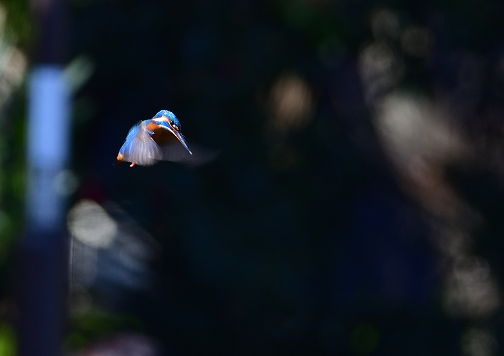 ホバる　３/２５❹