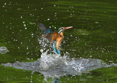 水飛沫　５/１３❶