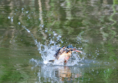 水飛沫　５/１７❽