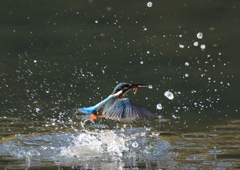 水飛沫　１１/１８❶