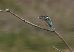 _190317_085408 DSC_7963