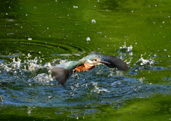 いつもの公園で　８/３０❻