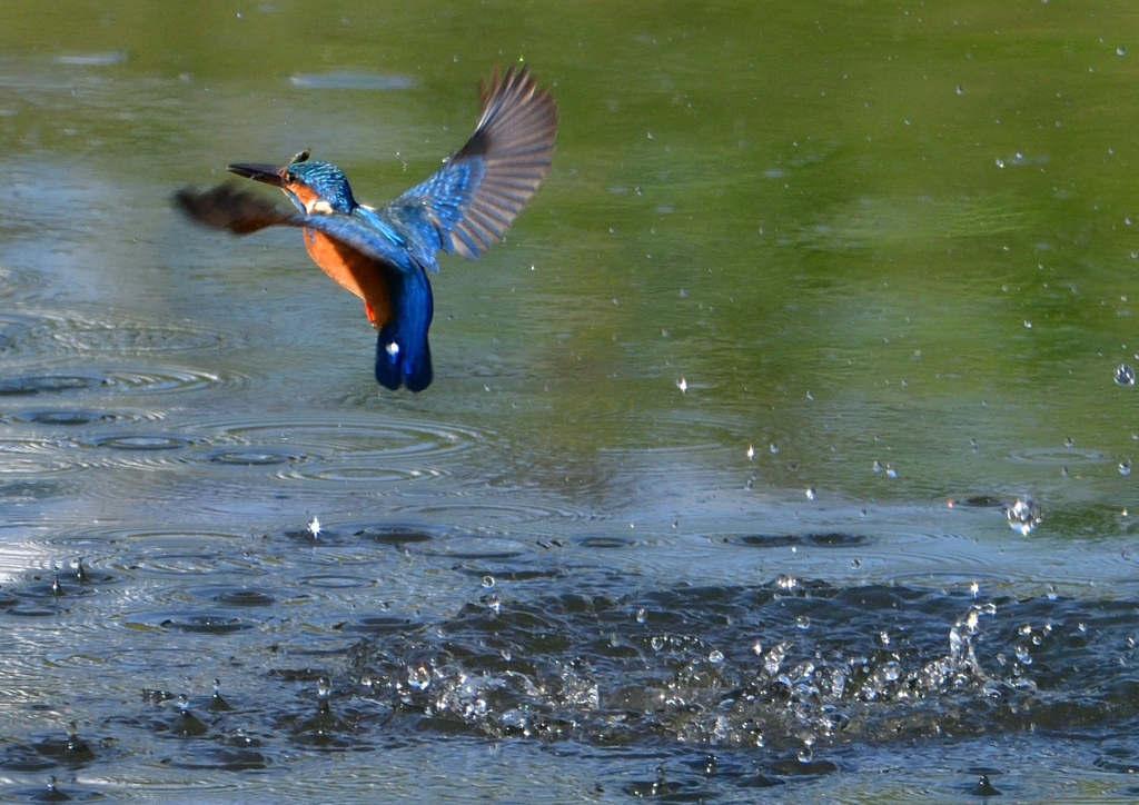 いつもの公園で　１０/７❼