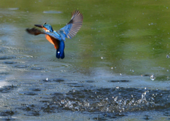 いつもの公園で　１０/７❼