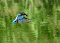 いつもの公園で　９/２６❻