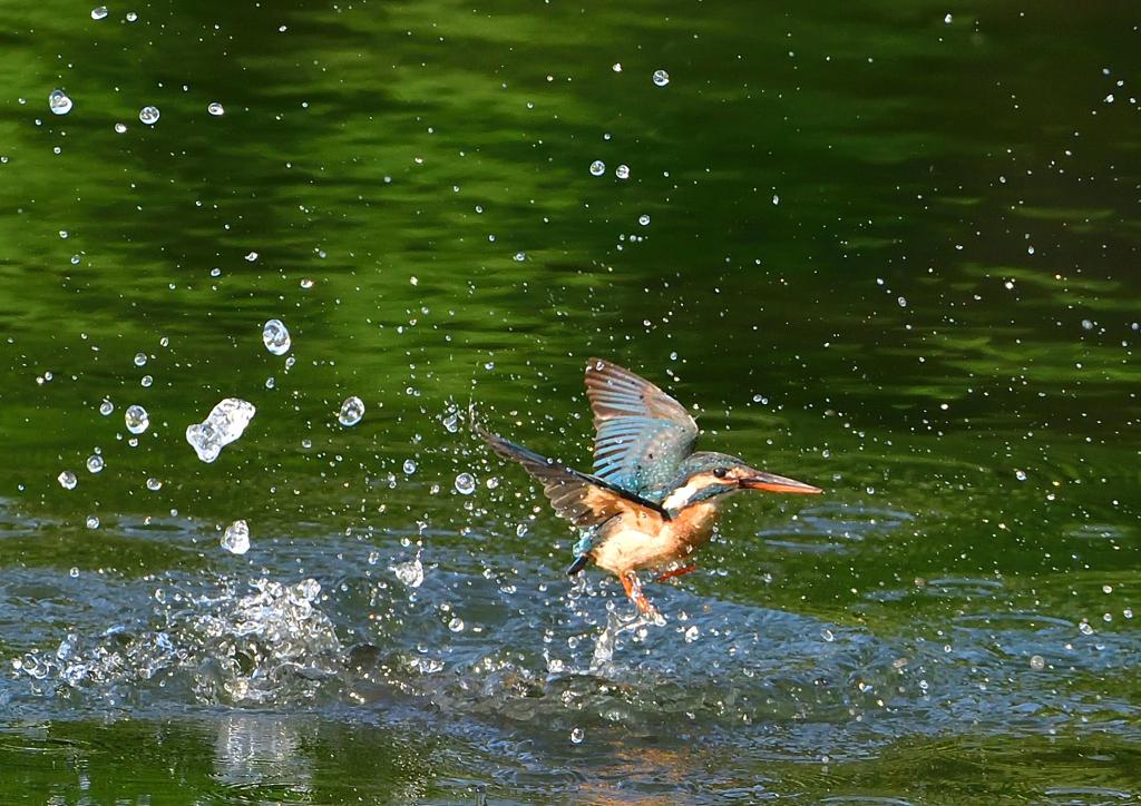 ダイブ　５/２２❸