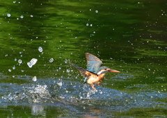 ダイブ　５/２２❸